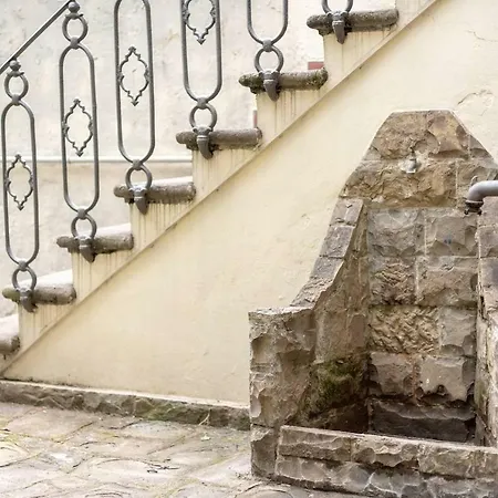 Leopoldini * פירנצה